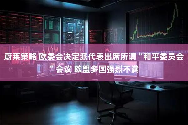 蔚莱策略 欧委会决定派代表出席所谓“和平委员会”会议 欧盟多国强烈不满