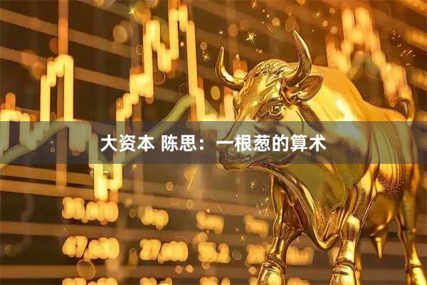 大资本 陈思：一根葱的算术