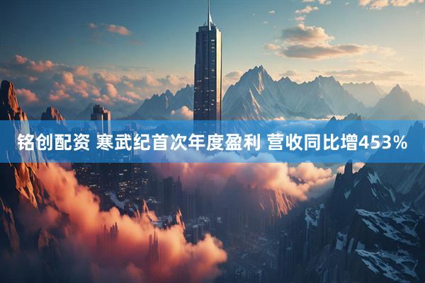 铭创配资 寒武纪首次年度盈利 营收同比增453%