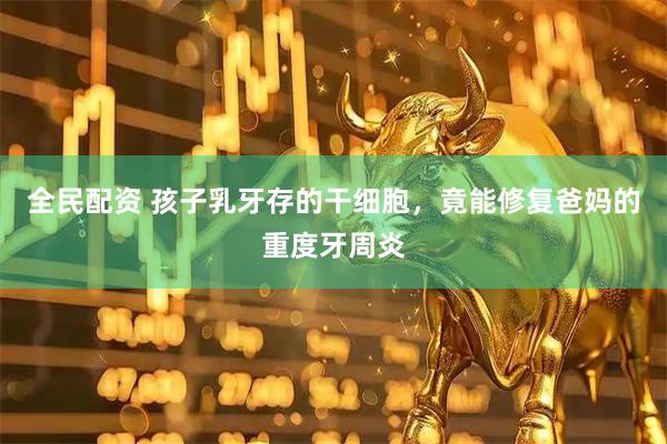 全民配资 孩子乳牙存的干细胞，竟能修复爸妈的重度牙周炎