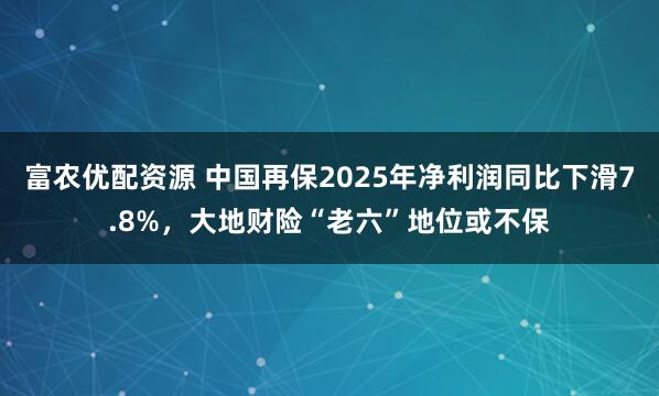 富农优配资源 中国再保2025年净利润同比下滑7.8%，大地财险“老六”地位或不保