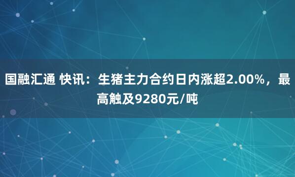 国融汇通 快讯：生猪主力合约日内涨超2.00%，最高触及9280元/吨