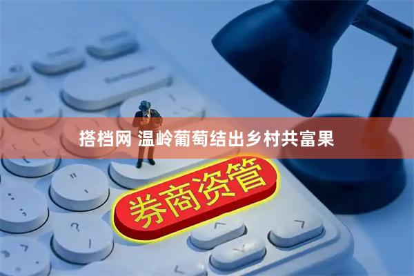 搭档网 温岭葡萄结出乡村共富果