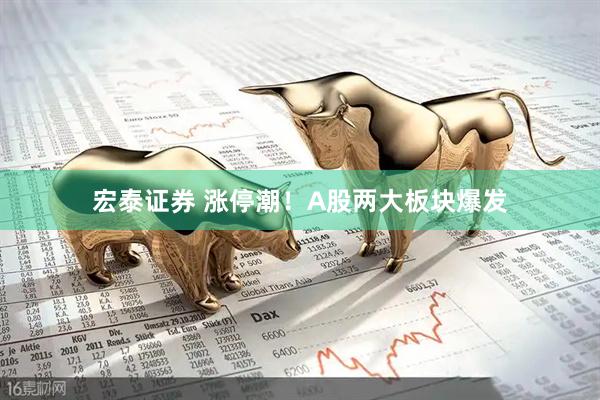 宏泰证券 涨停潮！A股两大板块爆发