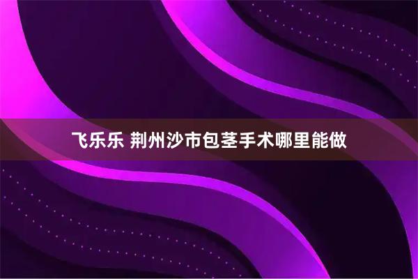 飞乐乐 荆州沙市包茎手术哪里能做