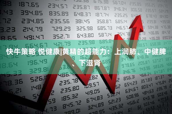 快牛策略 悦健康|黄精的超能力：上润肺、中健脾、下滋肾