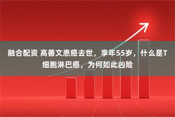融合配资 高善文患癌去世，享年55岁，什么是T细胞淋巴癌，为何如此凶险