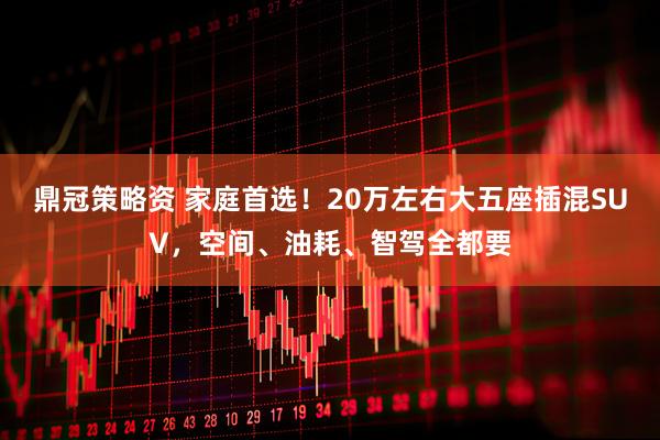 鼎冠策略资 家庭首选!20万左右大五座插混SUV,空间、油耗、智驾全都要