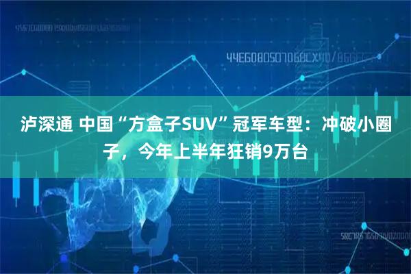 泸深通 中国“方盒子SUV”冠军车型：冲破小圈子，今年上半年狂销9万台
